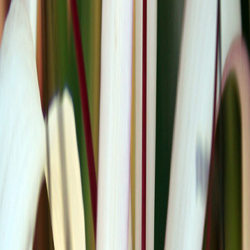 AD0161C-C