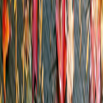 AD0316C-C